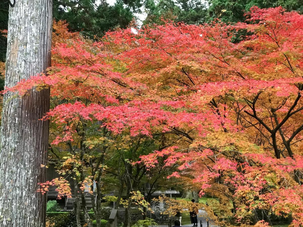 Villa Ohara Sensui Surrounded By Beautiful Nature Kyōto Exterior foto